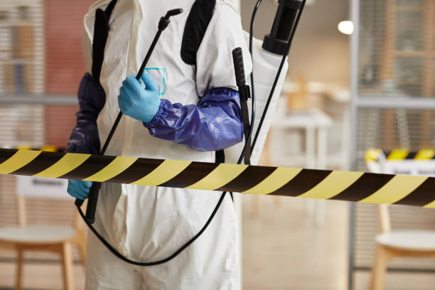 Professional Sewage Cleanup technician working in Reisterstown, MD